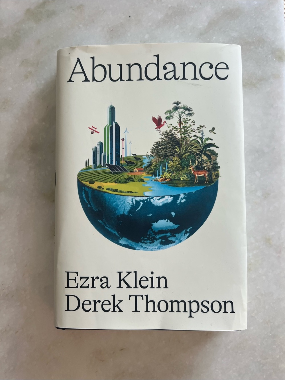 Abundance Book